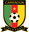 cameroon team logo