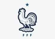 france team logo