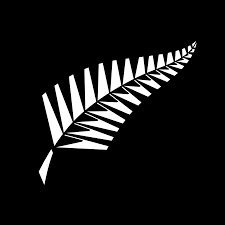 New Zealand cricket logo