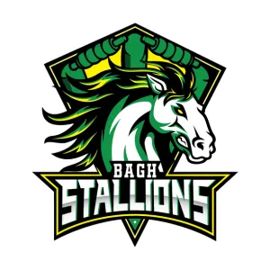 Bagh Stallions Team