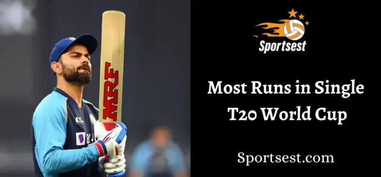 Most Runs in Single T20 World Cup