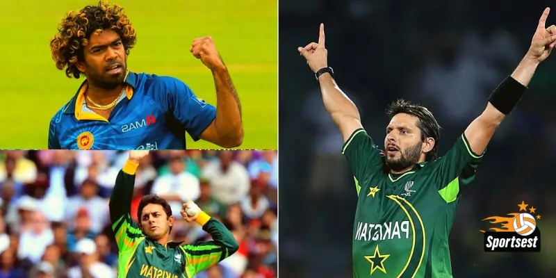 most wickets in the t20 world cup-sportsest.com