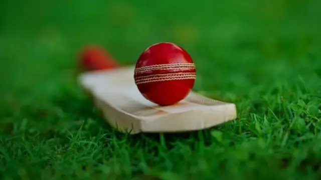 Cricket World Richest Sport