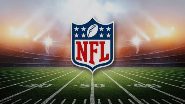 NFL Most Watched Sports League