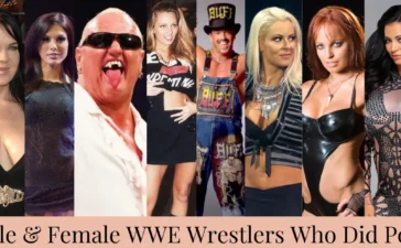 Wrestlers Who Did Adult Entertainment